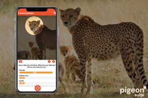animal recognition