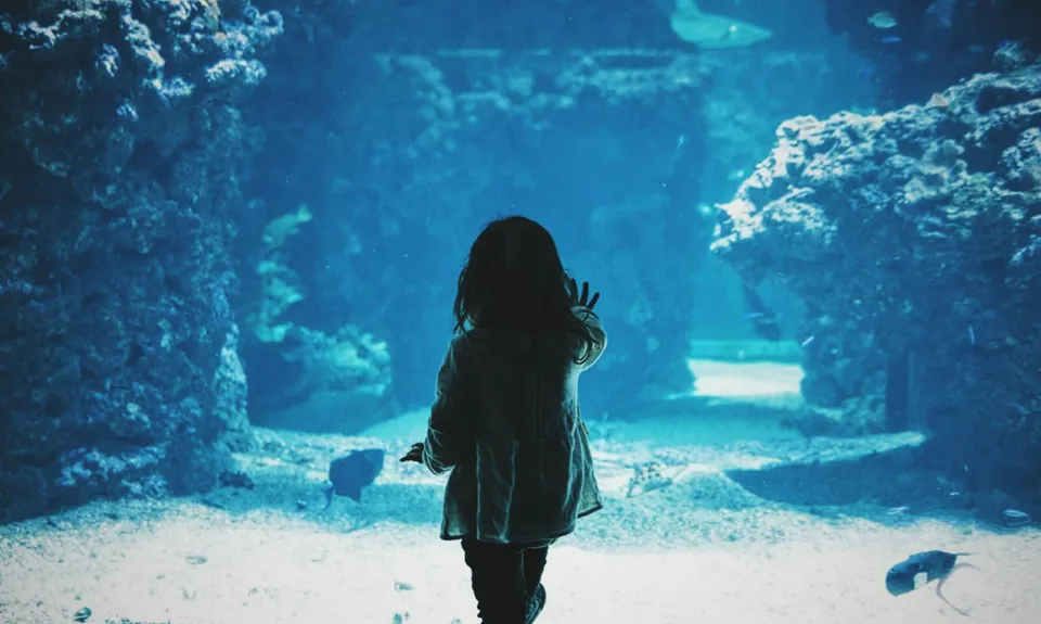 A young child at a large aquarium window